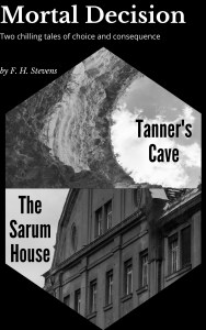 Mortal Decisions Cover